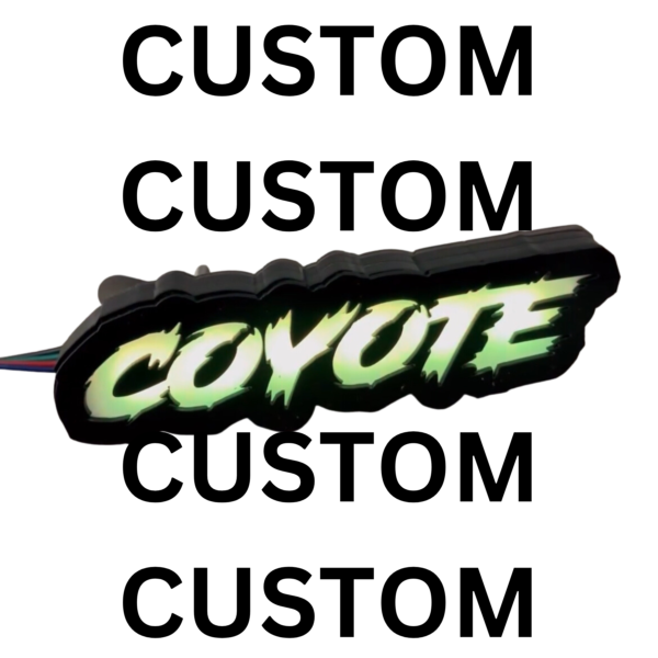 Custom LED RGB Emblem - Image 5