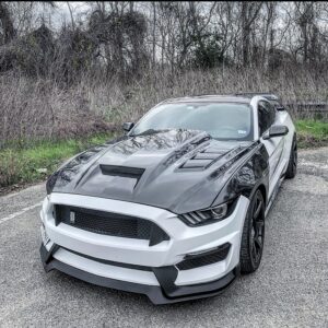 Mustang