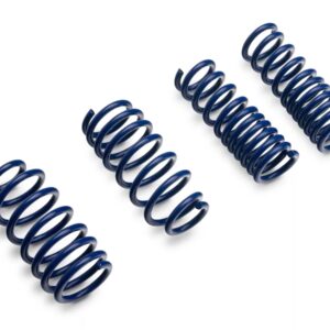 SR lowering springs 06-2023 charger challenger Chrysler 300